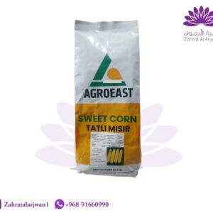 ذرة AGROEAST