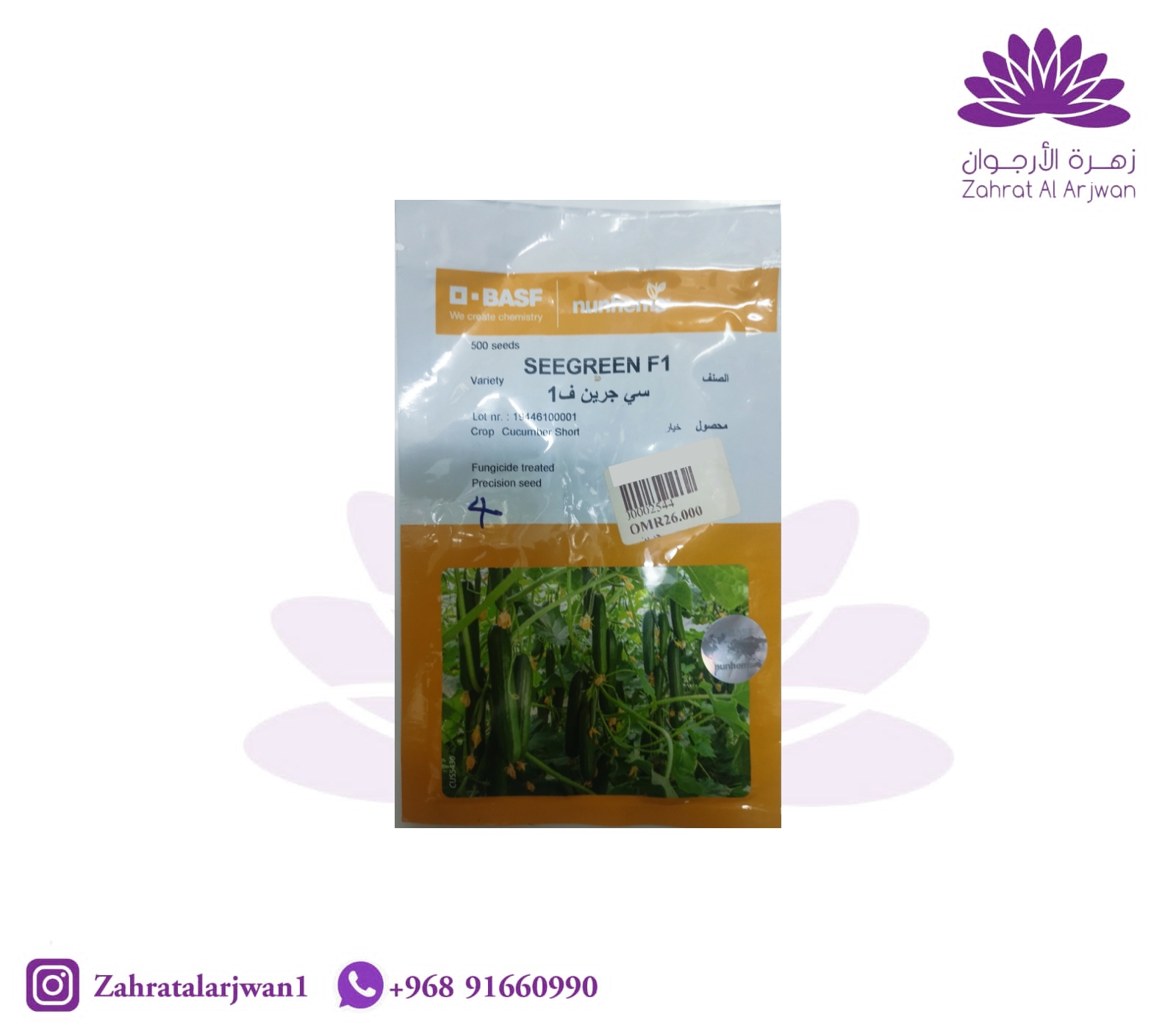 C Green Hybrid Cucumber Seeds