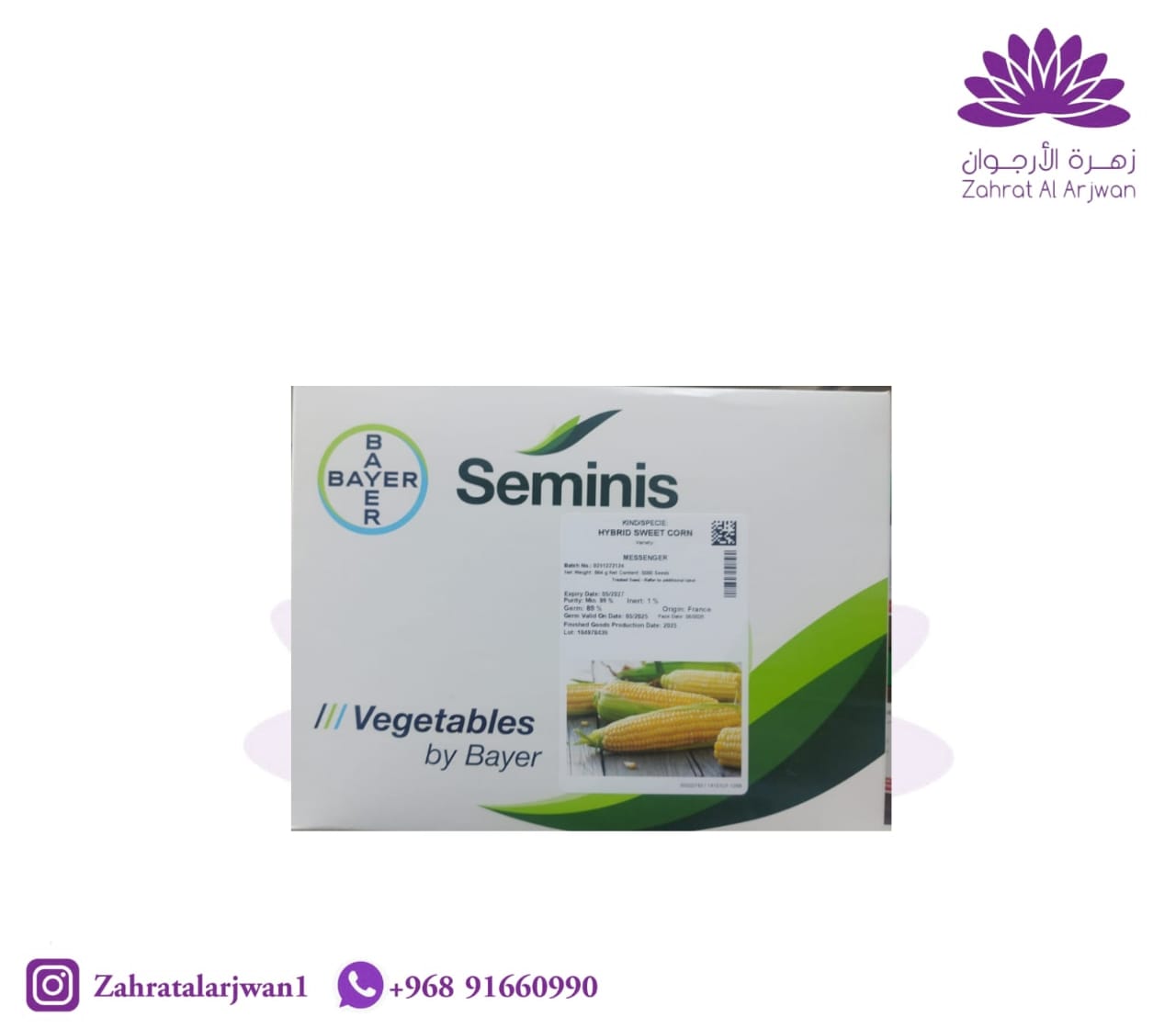ذرةseminis