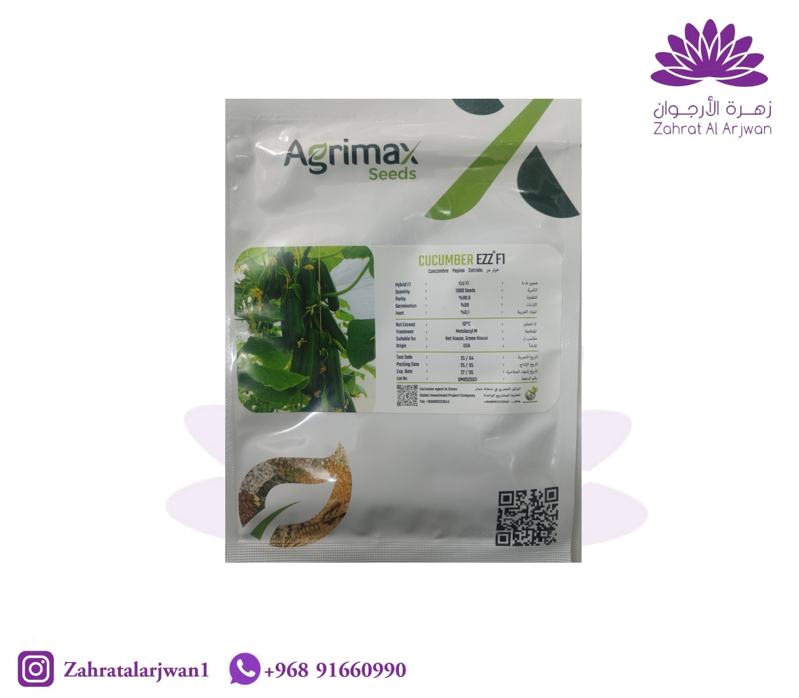 Ezz Hybrid Cucumber Seeds – 1,000 Seeds – Zahrat Al Arjwan