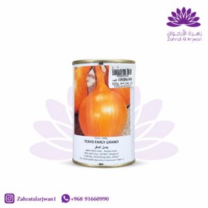 بصل هولندي